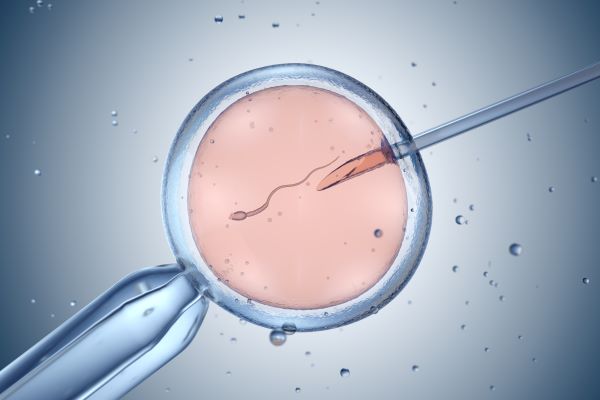 What is IVF